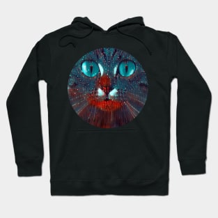 Bright-Eyed mycat, revolution for cats Hoodie